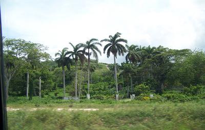 The countryside of Jamaica