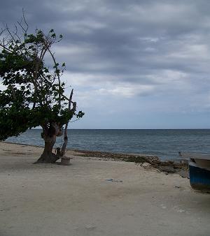 Looking out to the sea