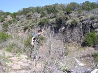 Jump, Sparky!  JUMP!