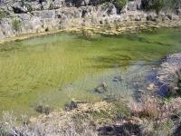 The pretty pool we'd try swimming in later.