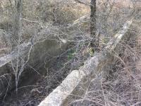 We came across ancient ruins made with... concrete and rebar.