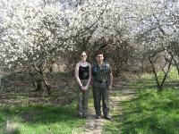 They formed a nice arbor over this section of the trail.