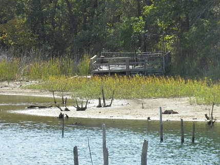 The ruins of docks rested on the sand