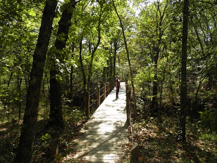 Jen standing on a forest bridge