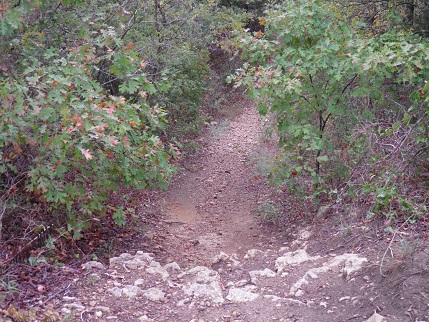 The next morning, the trails were clear of people... and full of spiders
