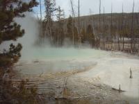 Cistern Geyser seemed to attract a fair sized crowd.