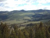 A valley east of Mammoth Springs.
