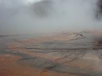 Large algael mats surrounded Grand Prismatic Geyser.