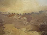 Gazing into one of the terrace pools...