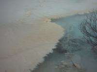 Another pool contained whispy fibers.